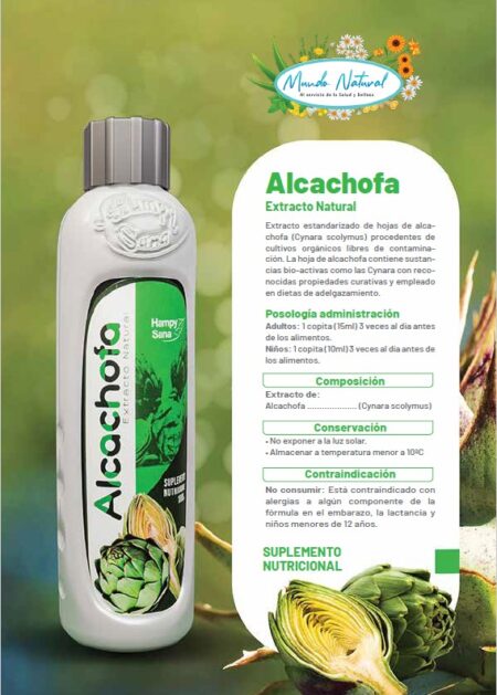 Alcachofa