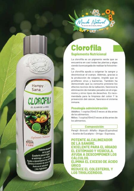 Clorofila